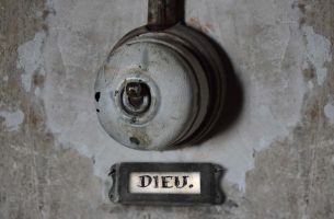 Voir plus